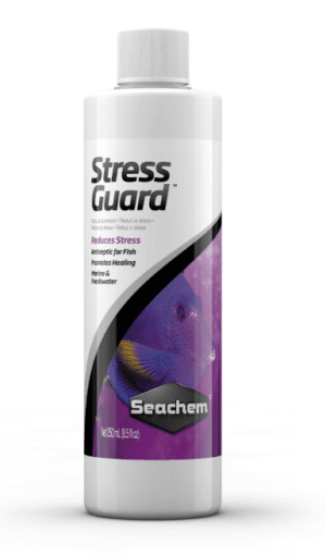 Captura de Pantalla 2025-05-05 a la(s) 17.13.46 StressGuard