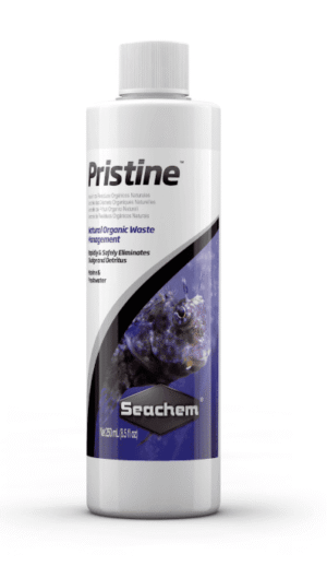 Captura de Pantalla 2025-05-05 a la(s) 23.55.09 Pristine