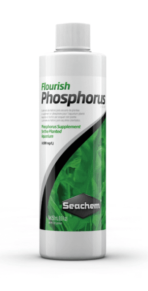 Flourish Phosphorus
