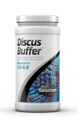 Discus Buffer
