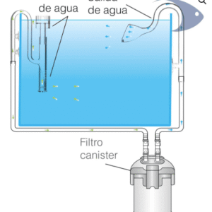Lily Pipe de cristal curvado + skimmer