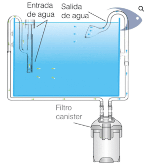 Lily Pipe de cristal curvado + skimmer