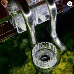 Lily Pipe de acero inoxidable + skimmer