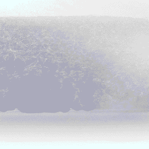 Filter Sponge (Esponja blanca)