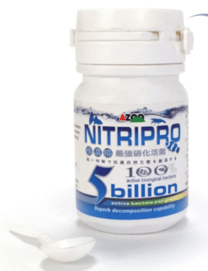 NitriPro