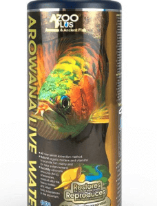 Arowana Live Water
