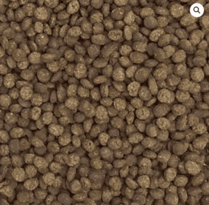 Delicias de camarón para peces marinos grandes