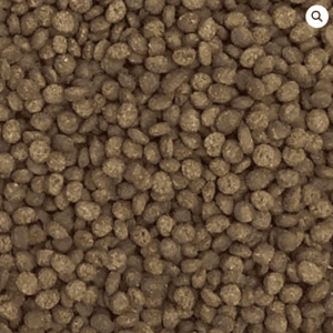 Delicias de camarón para peces marinos grandes