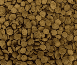 Carnivorous Shrimp Pie