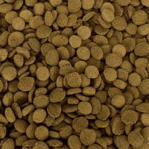 Carnivorous Shrimp Pie