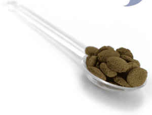 Carnivorous Shrimp Pie