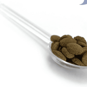 Carnivorous Shrimp Pie