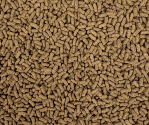 Baby Turtle Nutri Sticks