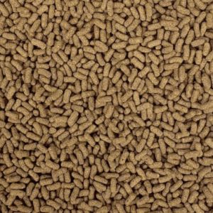 Baby Turtle Nutri Sticks