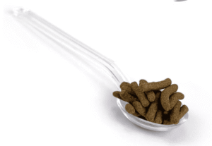 Sticks Jumbo para peces carnívoros