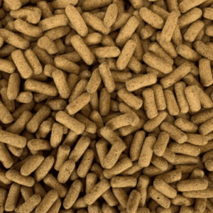 Nutri sticks para tortugas acuáticas