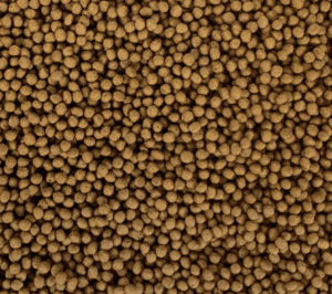 Ultra Color Goldfish