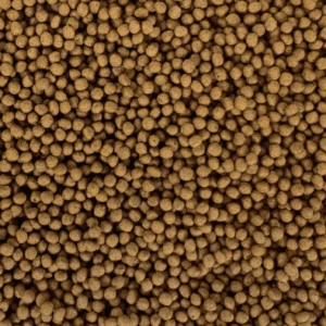 Ultra Color Goldfish