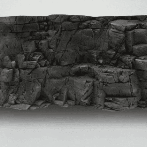 Fondo Rocoso Tanganyika