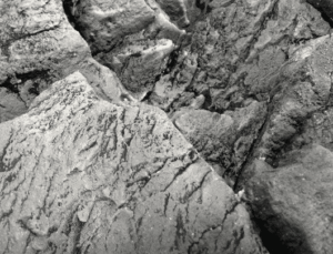 Fondo Rocoso Tanganyika