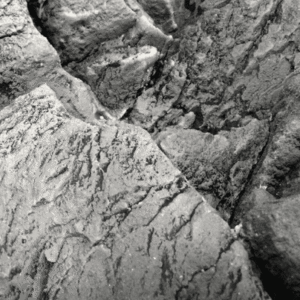 Fondo Rocoso Tanganyika