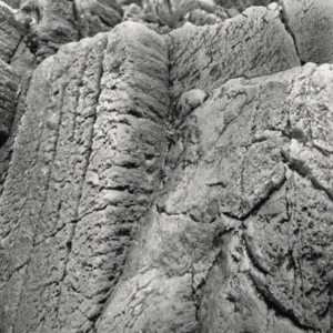 Fondo Rocoso Tanganyika