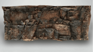 Fondo Rocoso Tanganyika