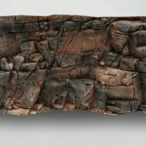 Fondo Rocoso Tanganyika