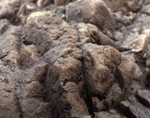 Fondo Rocoso Tanganyika