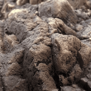 Fondo Rocoso Tanganyika