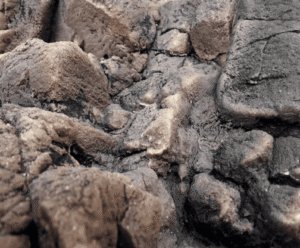 Fondo Rocoso Tanganyika