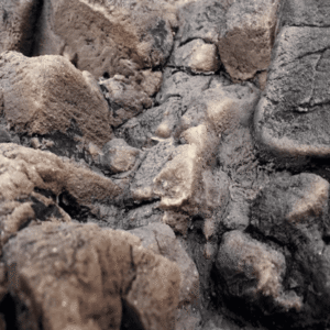 Fondo Rocoso Tanganyika