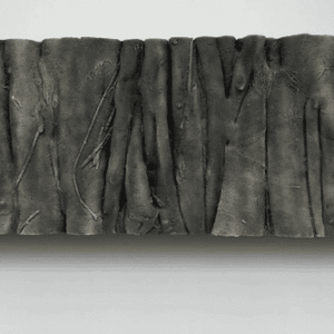 Fondo Rocoso Rainforest