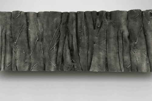 Fondo Rocoso Rainforest