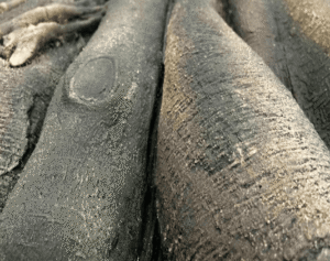 Fondo Rocoso Rainforest