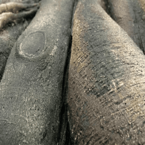 Fondo Rocoso Rainforest