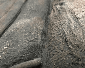 Fondo Rocoso Rainforest