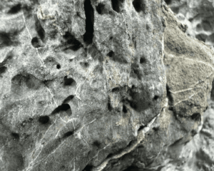 Arreglo Rocoso Tipo Montaña