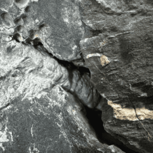 Arreglo Rocoso Tipo Montaña