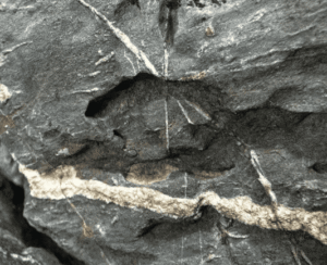 Arreglo Rocoso Tipo Montaña