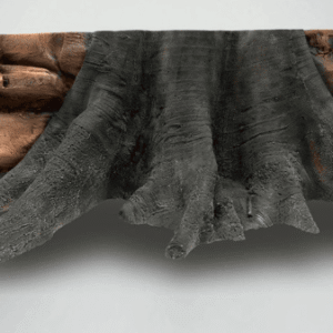 Fondo Rocoso Amazonas