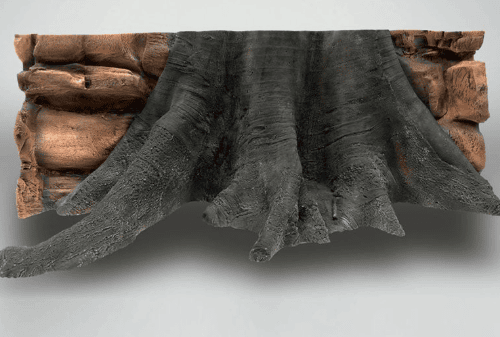 Fondo Rocoso Amazonas