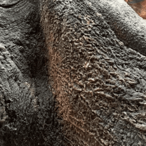 Fondo Rocoso Amazonas