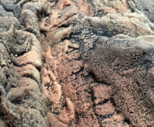 Fondo Rocoso Canyon Rock