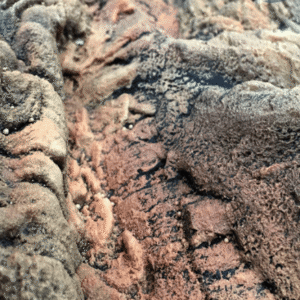 Fondo Rocoso Canyon Rock