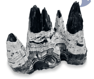 Roca Montaña Nebulosa