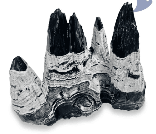 Roca Montaña Nebulosa