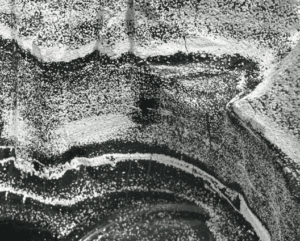 Roca Montaña Nebulosa