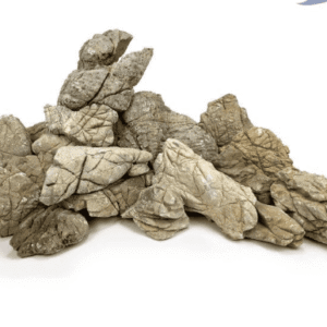 Roca Piel de Elefante