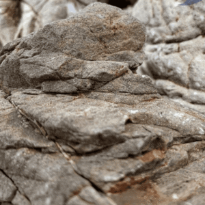 Roca Piel de Elefante